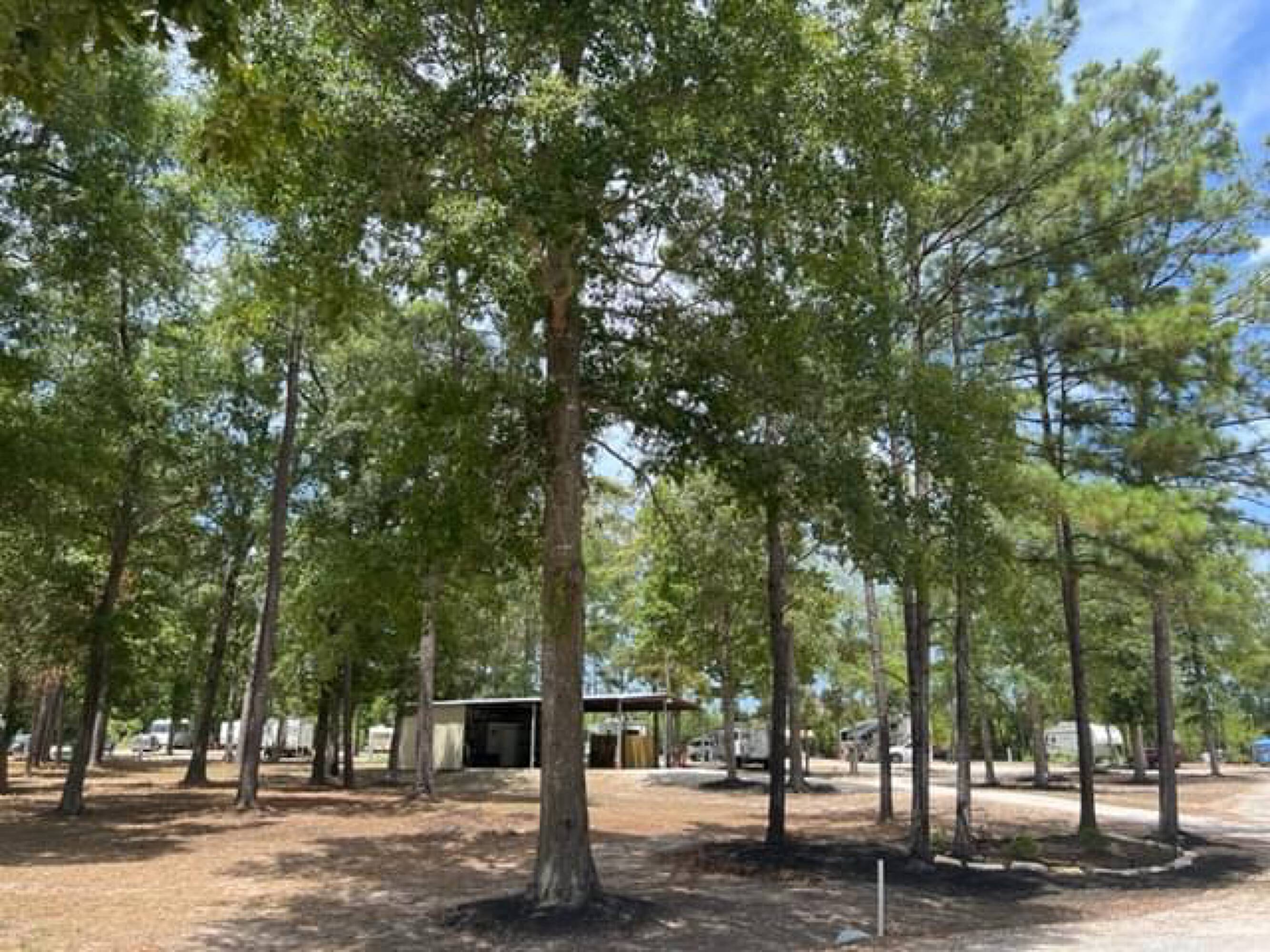 Commercial Property for Sale in Willis Texas 77378